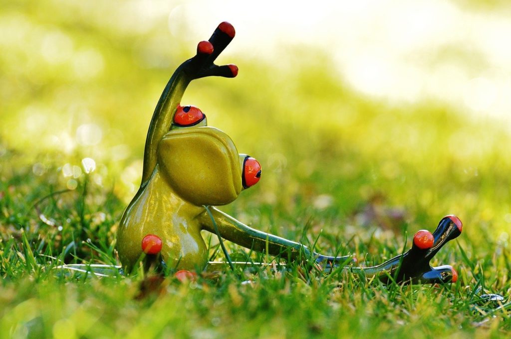 frog, yoga, meadow-1109792.jpg